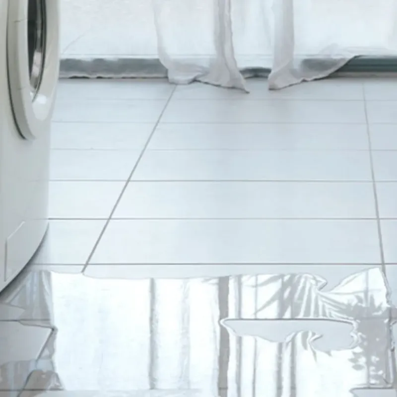Appliance Leak Cleanup in Holly, MI