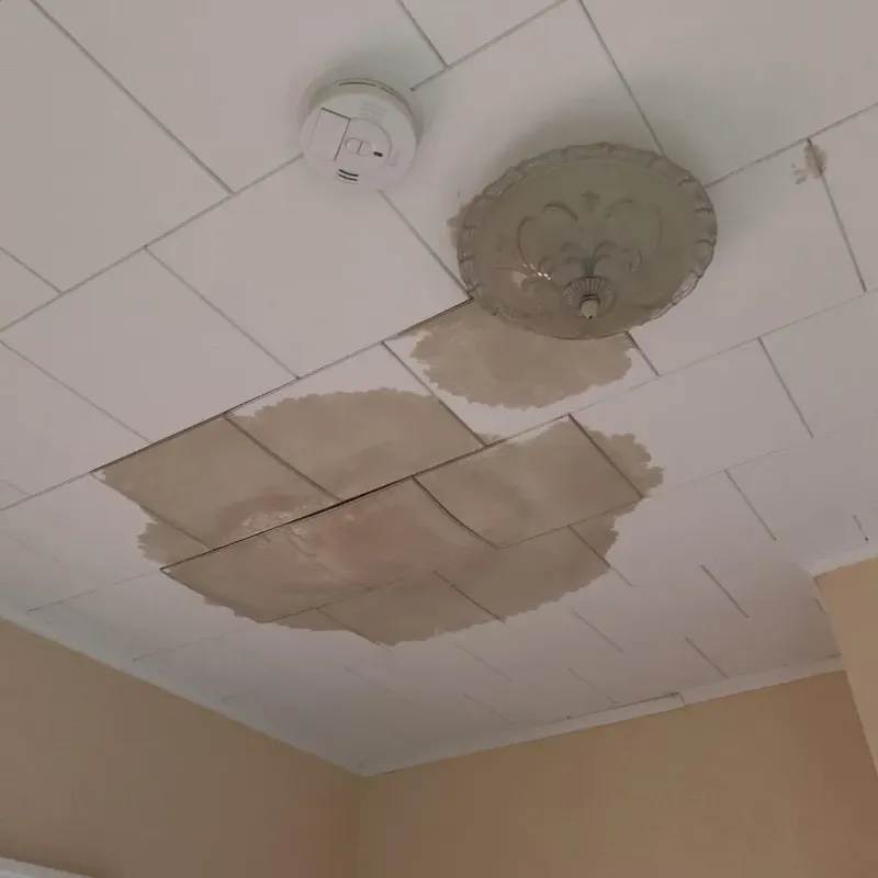 Ceiling Water Damage Repair in Holly, MI