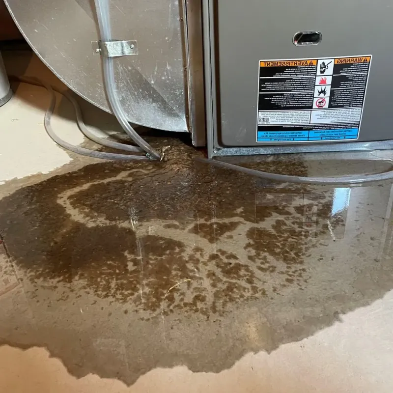 Pipe Burst and Leak Restoration in Holly, MI