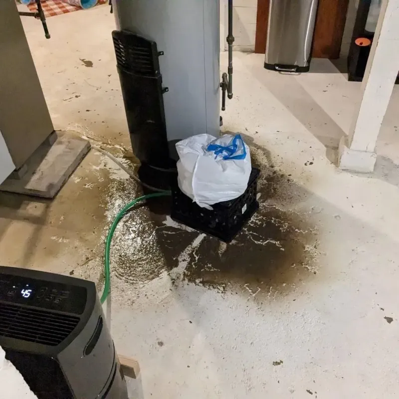 Sewage Backup Cleanup Service in Holly, MI